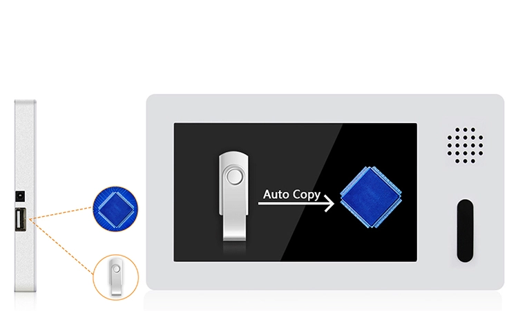 7'' Cardboard Display with LCD Video Player