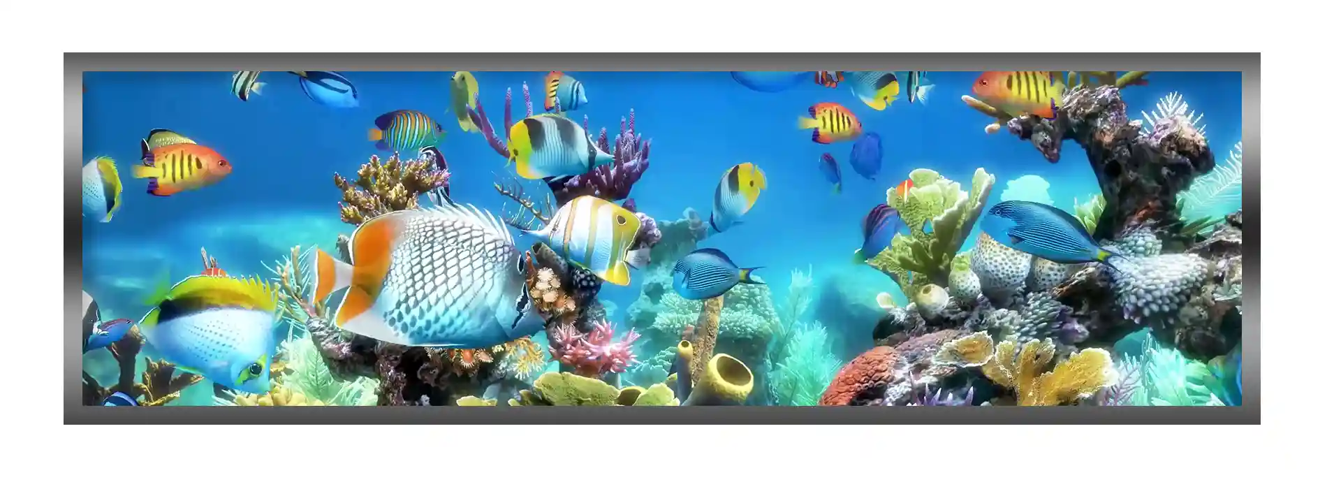 Types of Kerchan Led Screens And How To Distinguish Among Them?