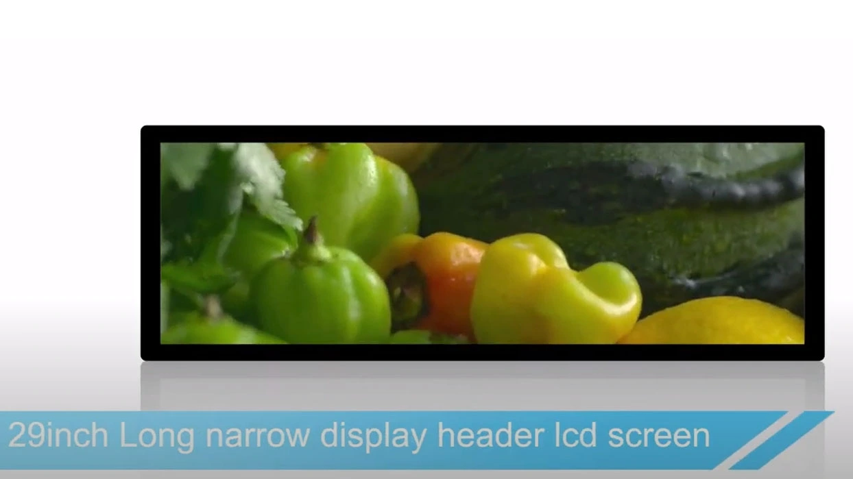LCD Monitor Screen SAD2901KL operation video